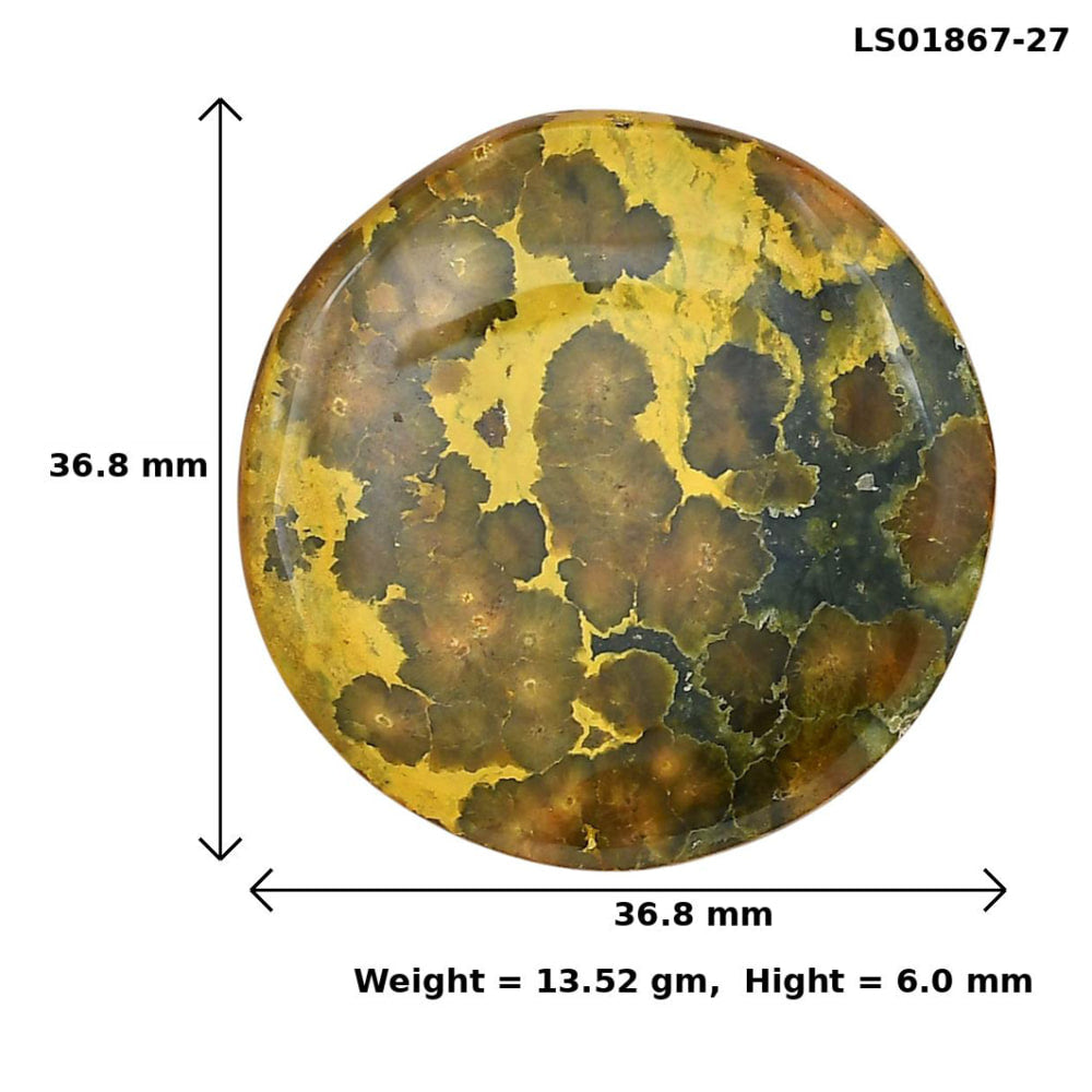 Ocean Jasper 36.8x36.8x6 mm Round Gemstone LS01867-27