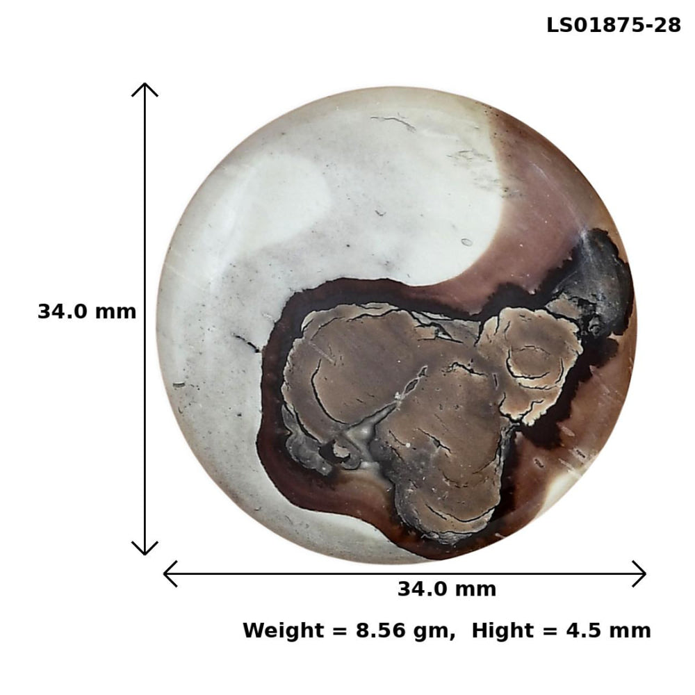 Coffee Bean Jasper 34x34x4.5 mm Round Gemstone LS01875-28