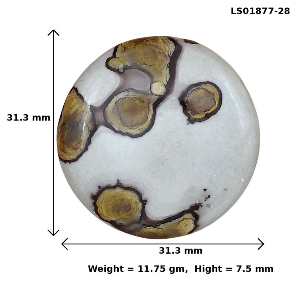 Coffee Bean Jasper 31.3x31.3x7.5 mm Round Gemstone LS01877-28