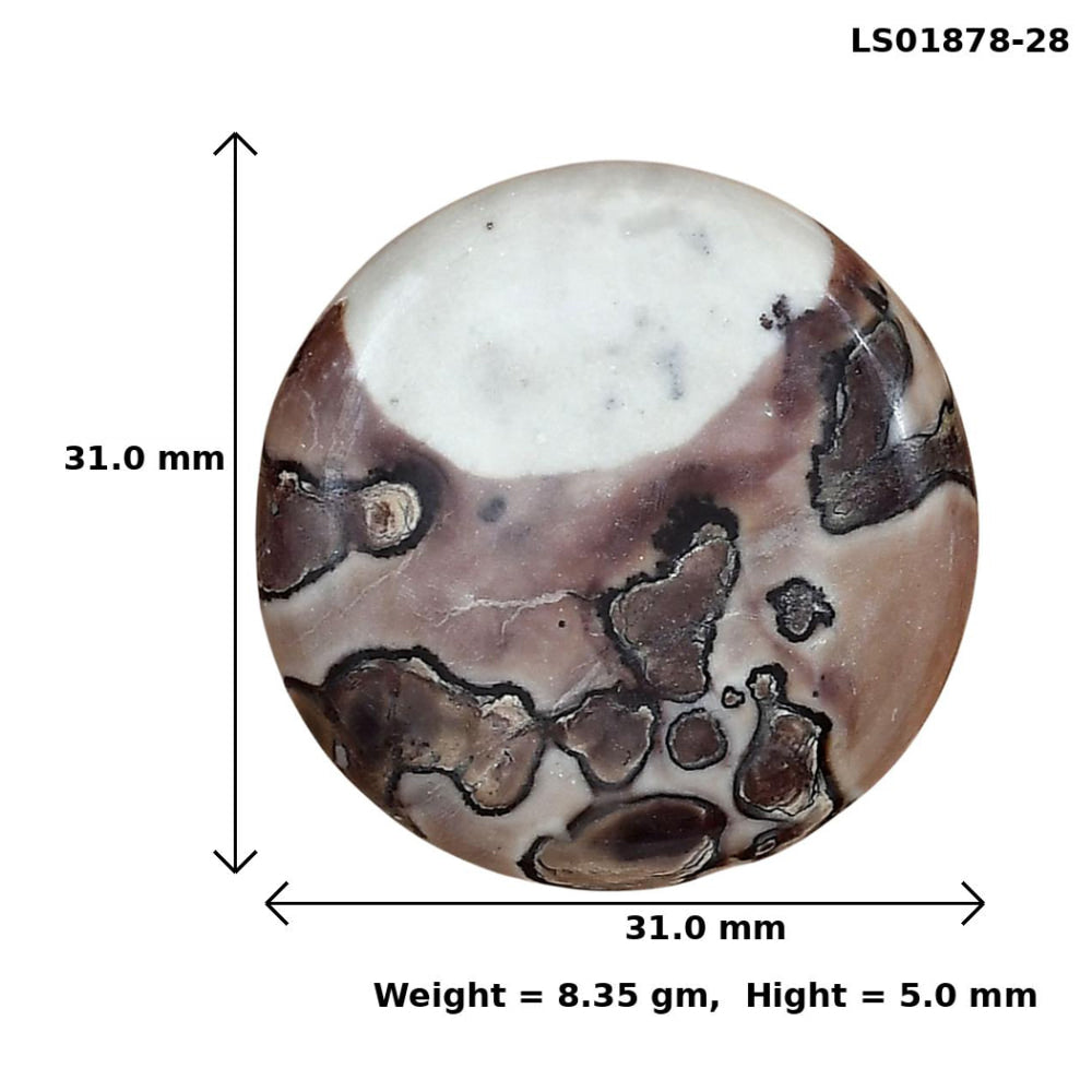 Coffee Bean Jasper 31x31x5 mm Round Gemstone LS01878-28