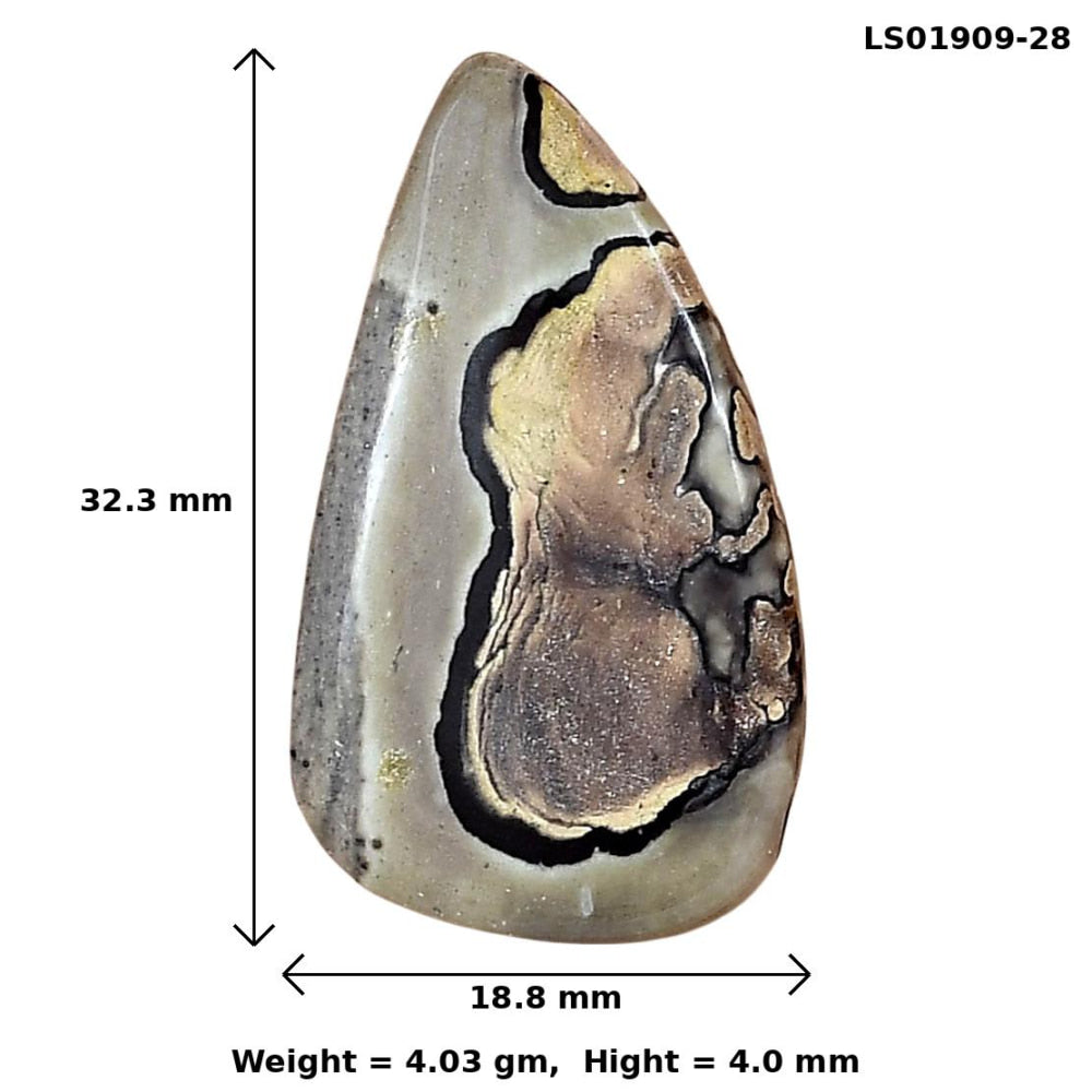 Coffee Bean Jasper 32.3x18.8x4 mm Pear Gemstone LS01909-28
