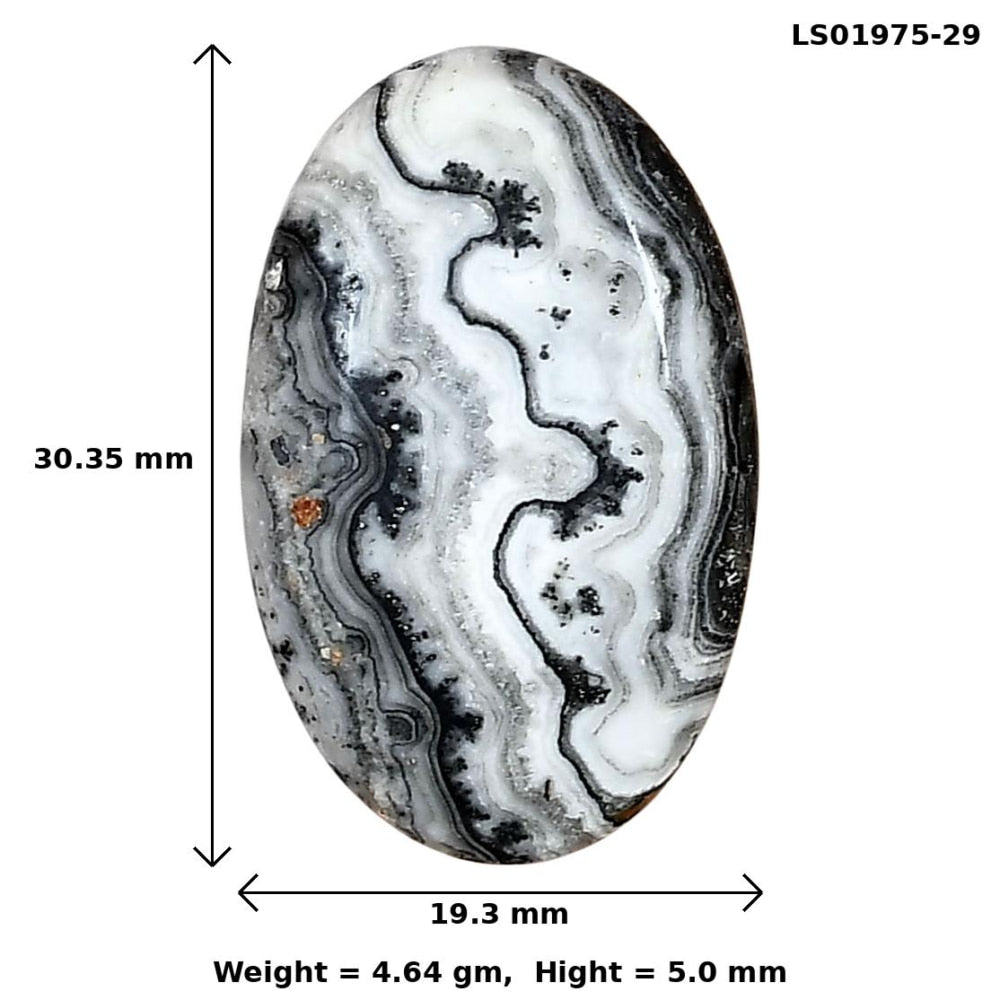 Crazy Lace Agate 30.35x19.3x5 mm Oval Gemstone LS01975-29