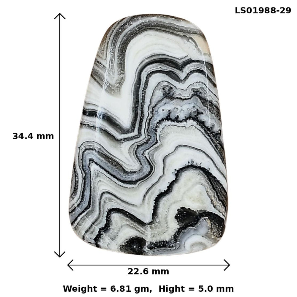 Crazy Lace Agate 34.4x22.6x5 mm Fancy Gemstone LS01988-29