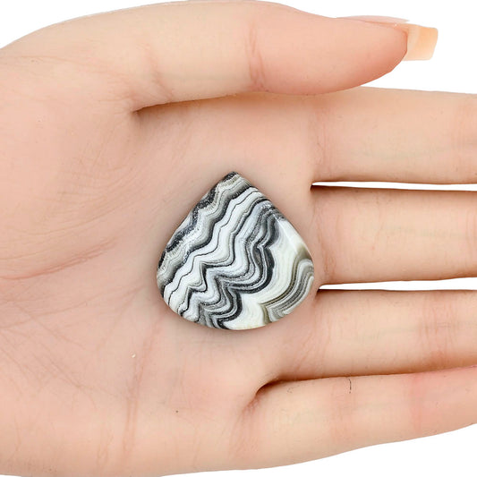 Crazy Lace Agate 29.8x29.65x5.5 mm Fancy Gemstone LS01990-29