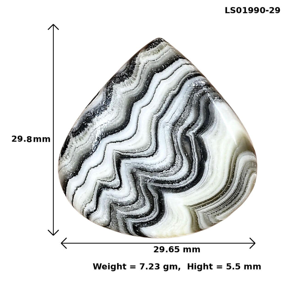 Crazy Lace Agate 29.8x29.65x5.5 mm Fancy Gemstone LS01990-29