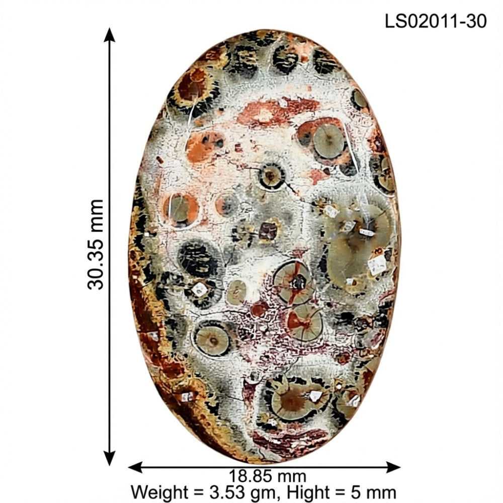 Leopard Skin Jasper 30.35x18.85x5 mm Oval Gemstone LS02011-30