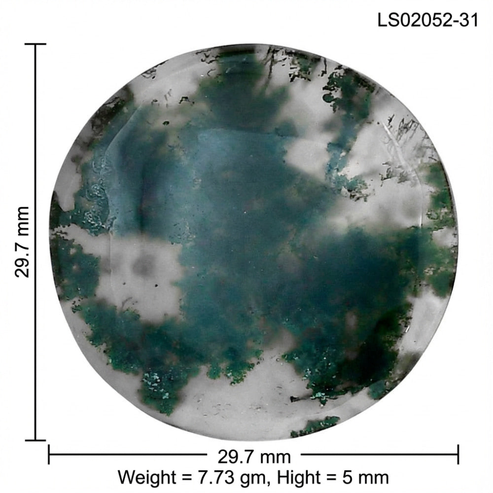 Green Moss Agate 29.7x29.7x5 mm Round Gemstone LS02052-31
