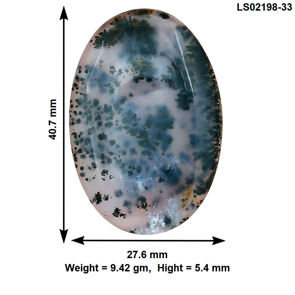 Robinson Ranch Plume Agate 40.7x27.6x5.4 mm Oval Gemstone LS02198-33
