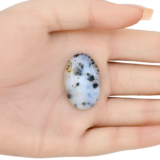 Robinson Ranch Plume Agate 31.25x20.45x5.3 mm Oval Gemstone LS02202-33