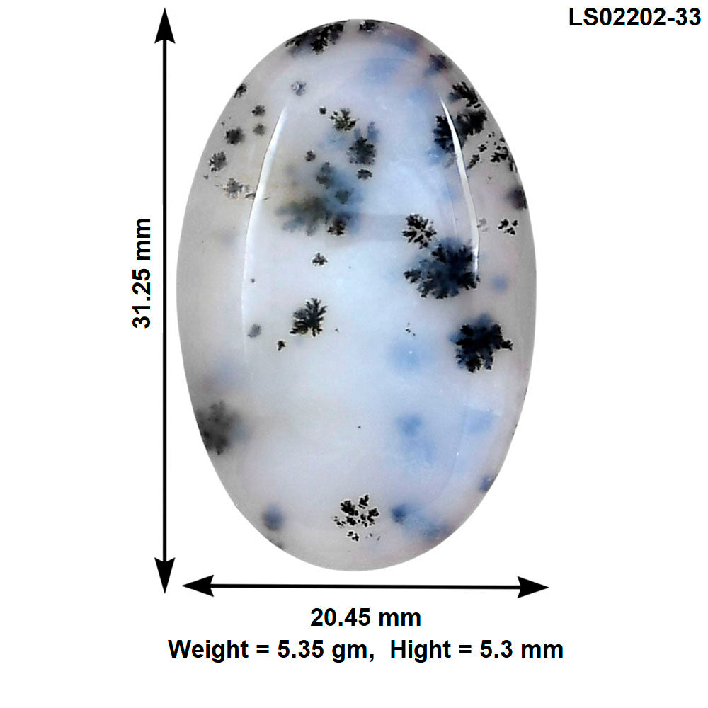 Robinson Ranch Plume Agate 31.25x20.45x5.3 mm Oval Gemstone LS02202-33