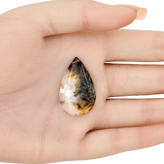 Robinson Ranch Plume Agate 32.25x20x5 mm Pear Gemstone LS02206-33
