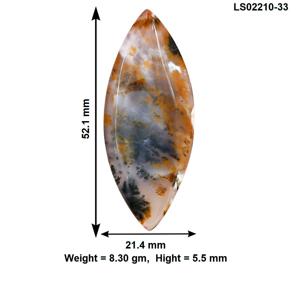 Robinson Ranch Plume Agate 52.1x21.4x5.5mm Marquise Gemstone LS02210-33