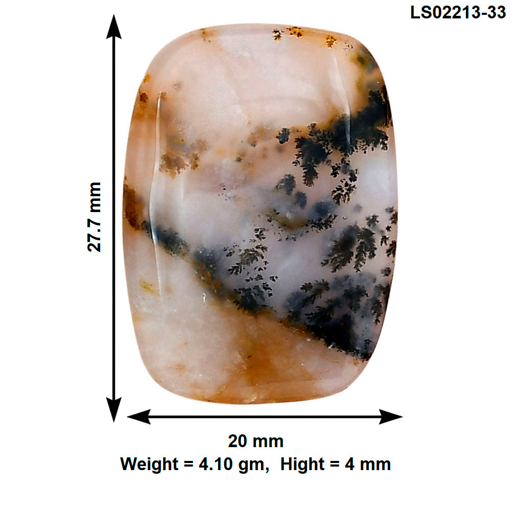 Robinson Ranch Plume Agate 27.7x20x4 mm Fancy Gemstone LS02213-33