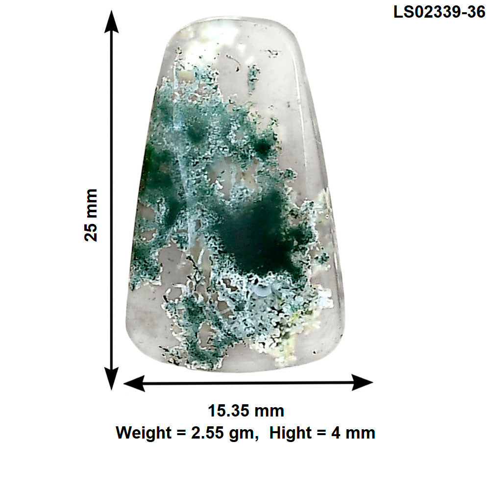 Horse Canyon Moss Agate 25x15.35x4 mm Fancy Gemstone LS02339-36