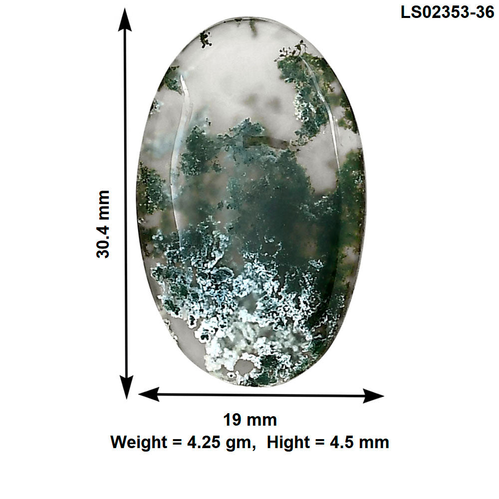 Horse Canyon Moss Agate 30.4x19x4.5 mm Oval Gemstone LS02353-36