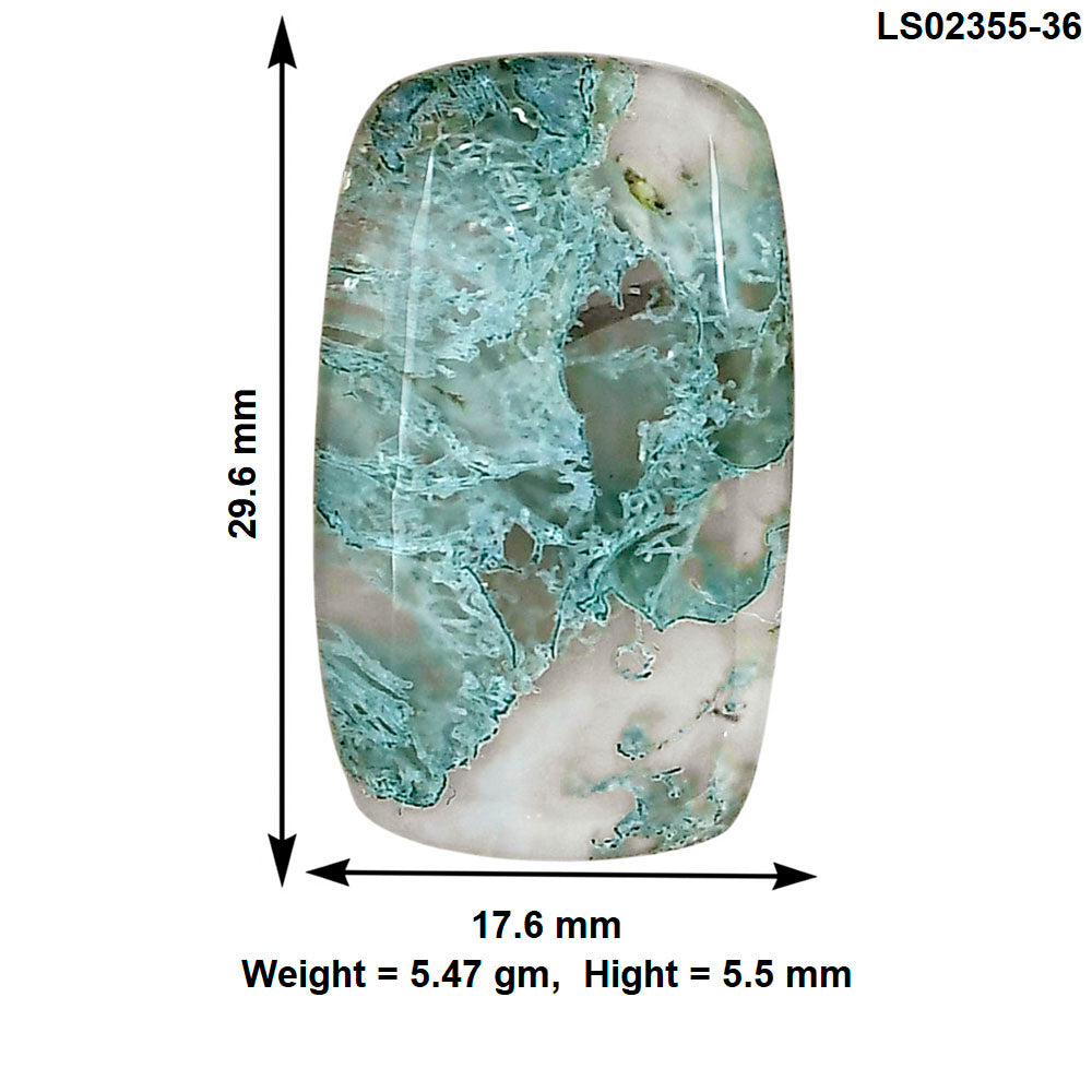 Horse Canyon Moss Agate 29.6x17.6x5.5 mm Baguette Gemstone LS02355-36