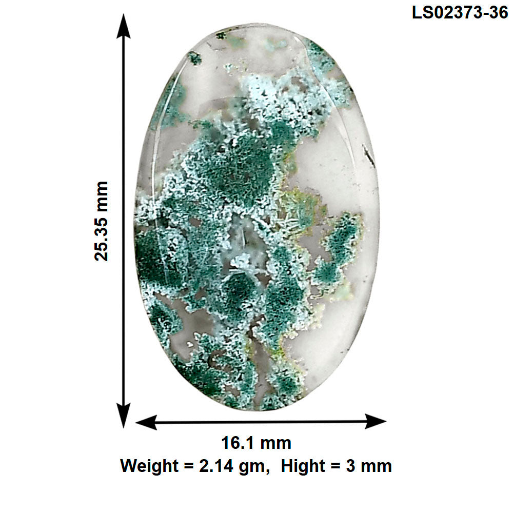 Horse Canyon Moss Agate 25.35x16.1x3 mm Oval Gemstone LS02373-36