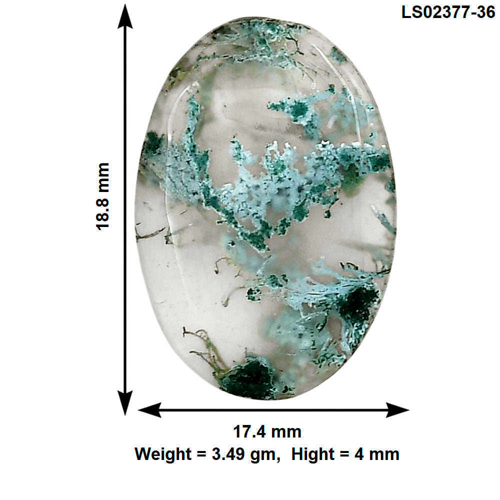 Horse Canyon Moss Agate 18.8x17.4x4 mm Oval Gemstone LS02377-36