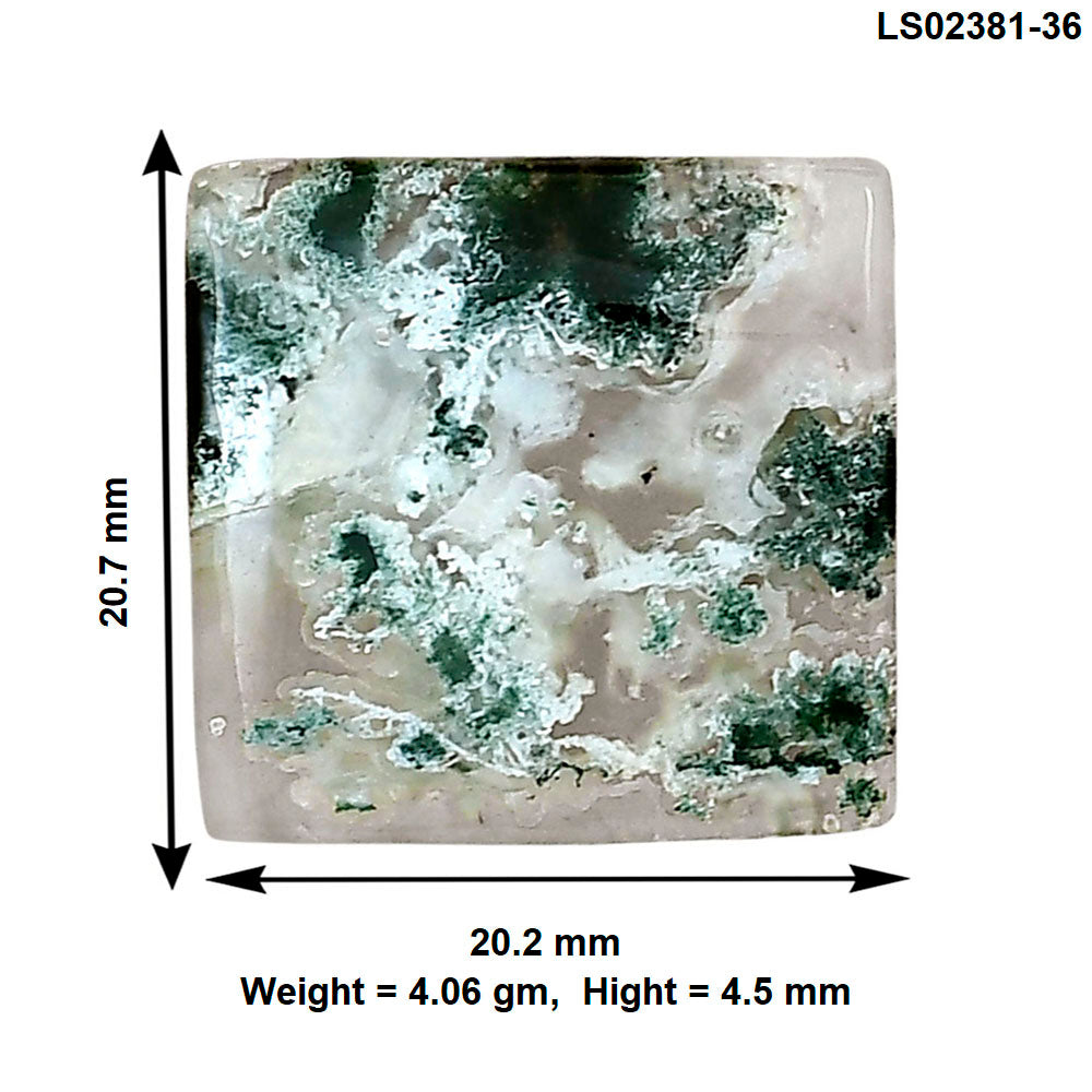Horse Canyon Moss Agate 20.7x20.2x4.5 mm Baguette Gemstone LS02381-36