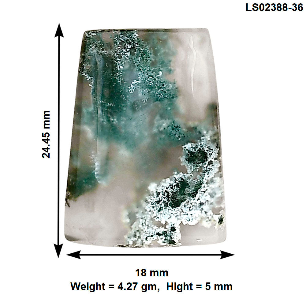 Horse Canyon Moss Agate 24.45x18x5 mm Fancy Gemstone LS02388-36