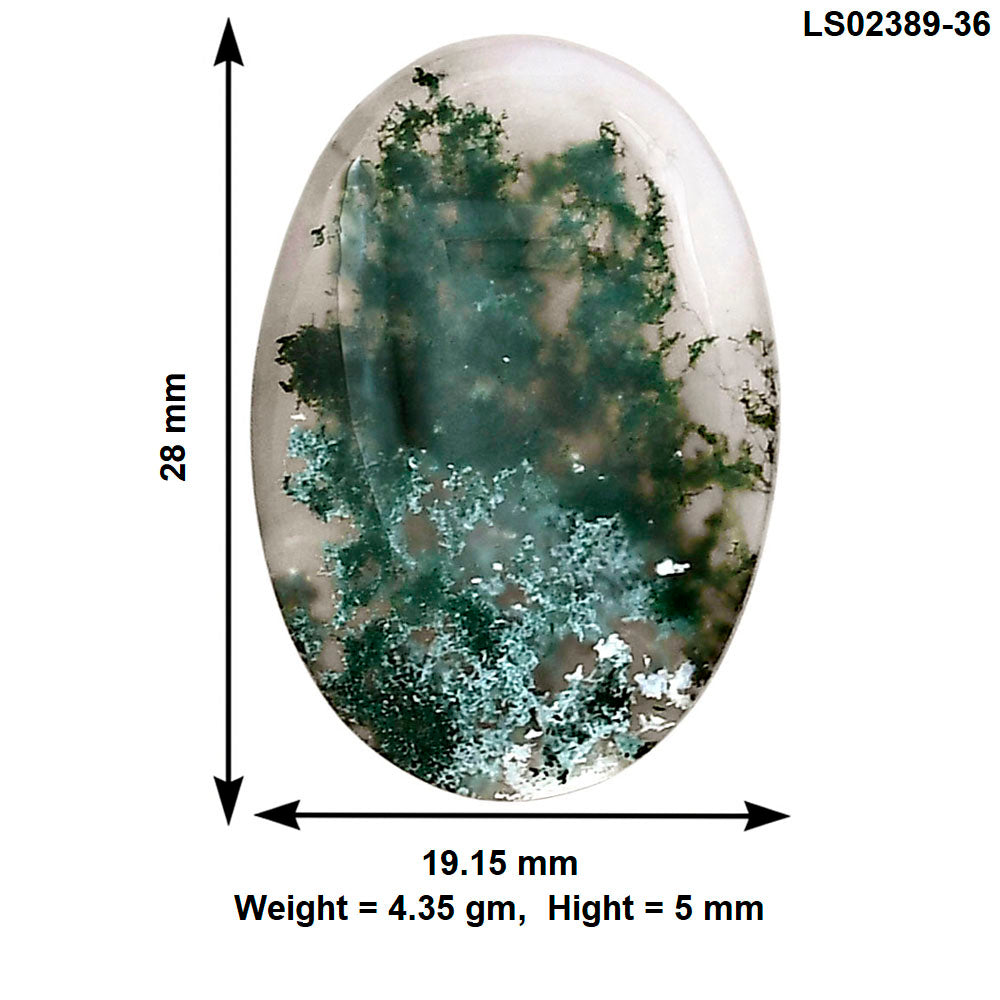 Horse Canyon Moss Agate 28x19.15x5 mm Oval Gemstone LS02389-36