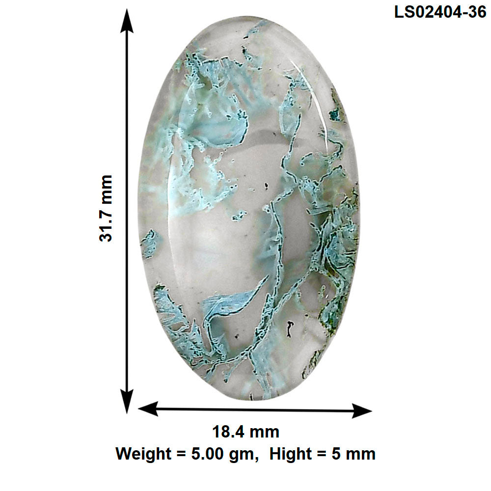 Horse Canyon Moss Agate 31.7x18.4x5 mm Oval Gemstone LS02404-36