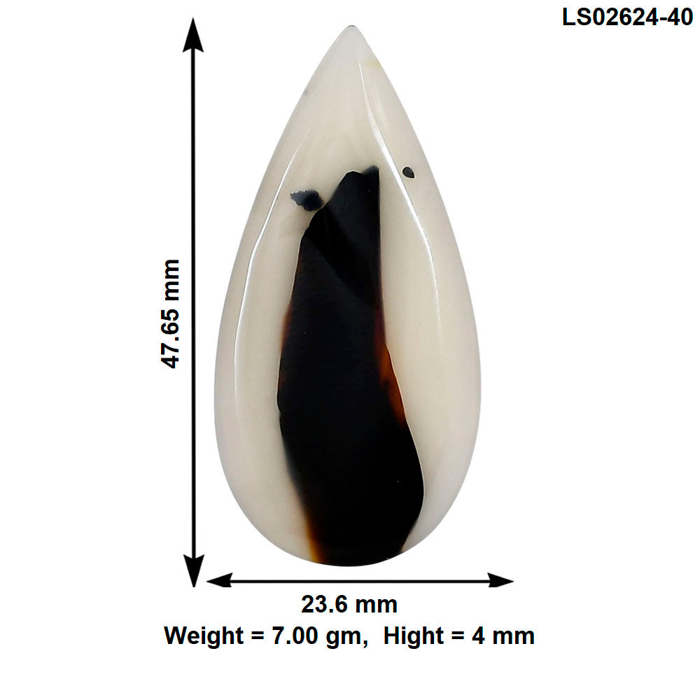 Montana Agate 47.65x23.6x4 mm Pear Gemstone LS02624-40
