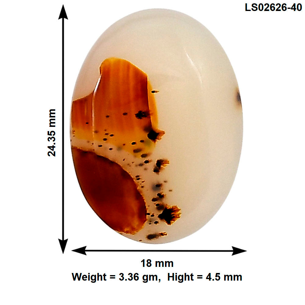 Montana Agate 24.35x18x4.5 mm Oval Gemstone LS02626-40