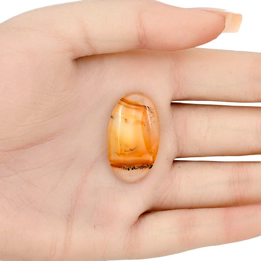 Montana Agate 30.85x17.75x4.7 mm Oval Gemstone LS02627-40