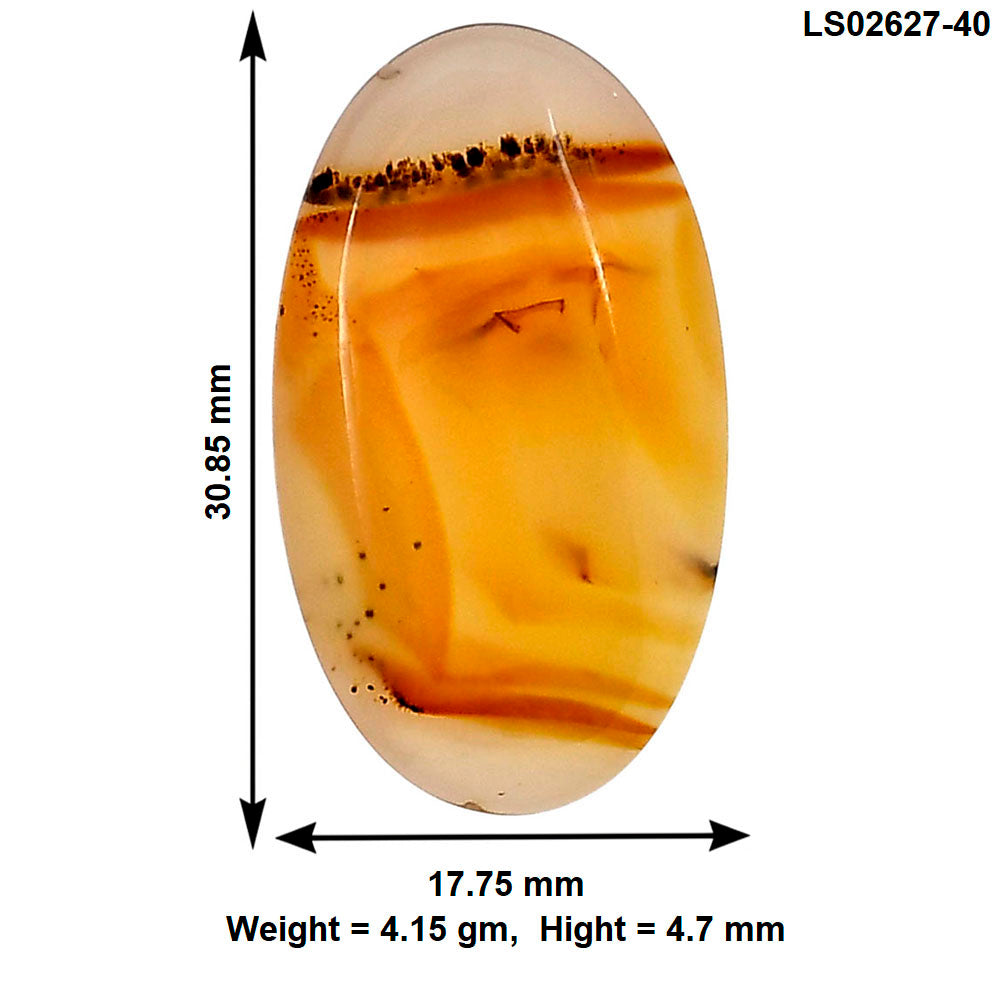 Montana Agate 30.85x17.75x4.7 mm Oval Gemstone LS02627-40