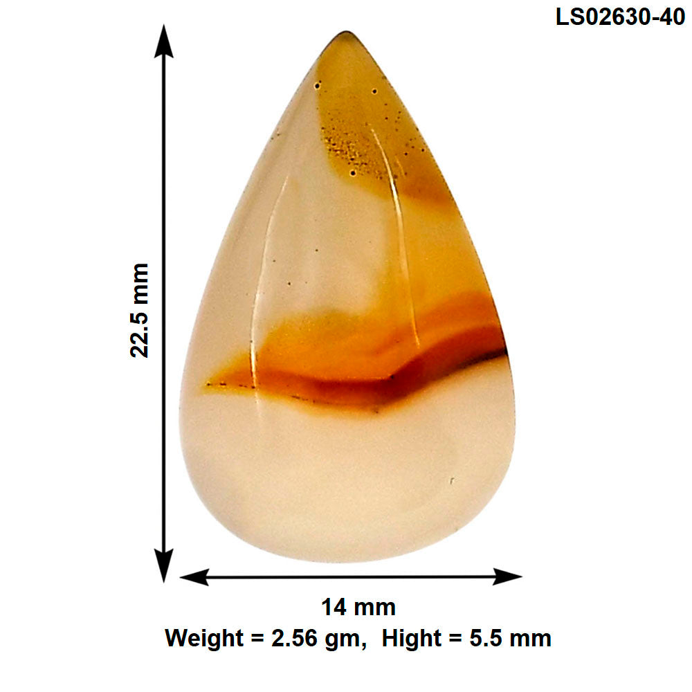 Montana Agate 22.5x14x5.5 mm Pear Gemstone LS02630-40