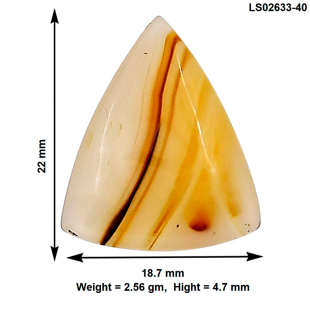 Montana Agate 22x18.7x4.7 mm Fancy Gemstone LS02633-40