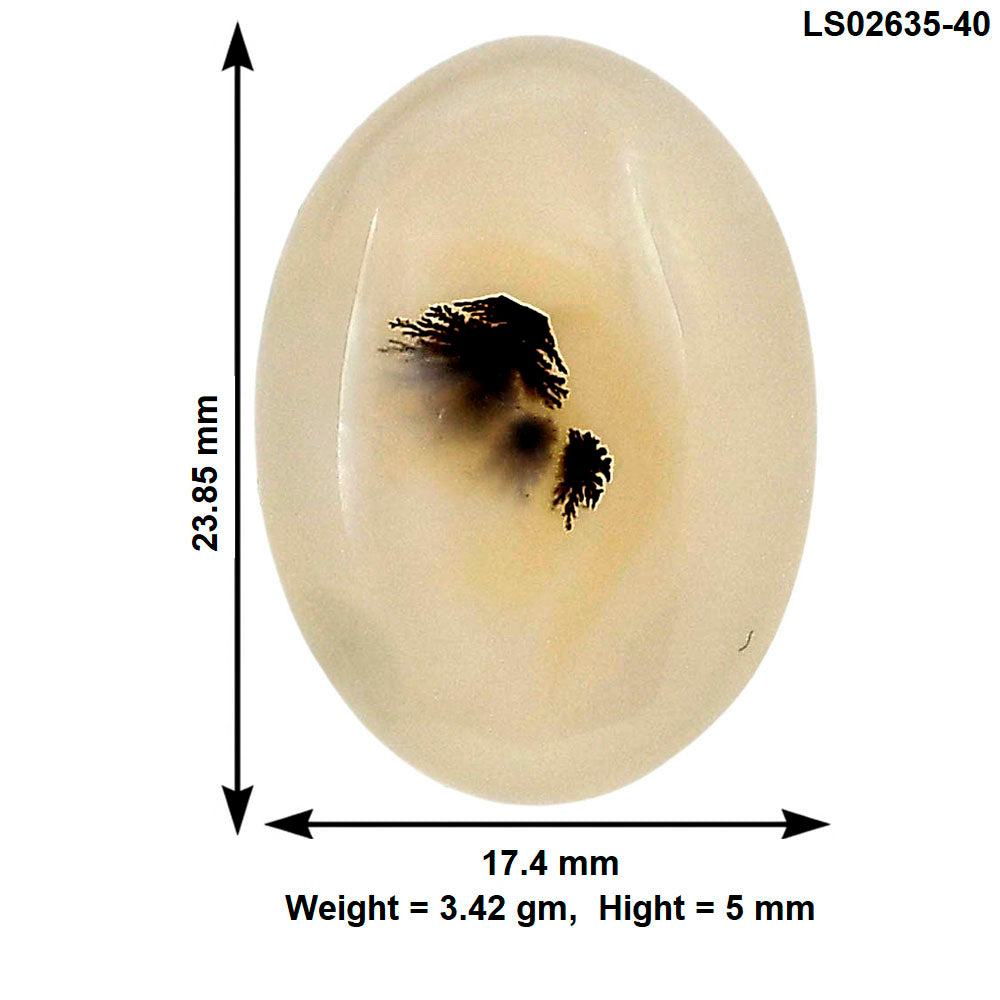 Montana Agate 23.85x17.4x5 mm Oval Gemstone LS02635-40