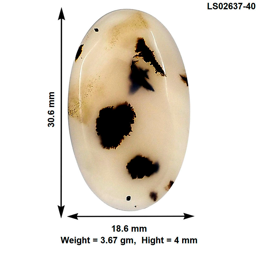 Montana Agate 30.6x18.6x4 mm Oval Gemstone LS02637-40