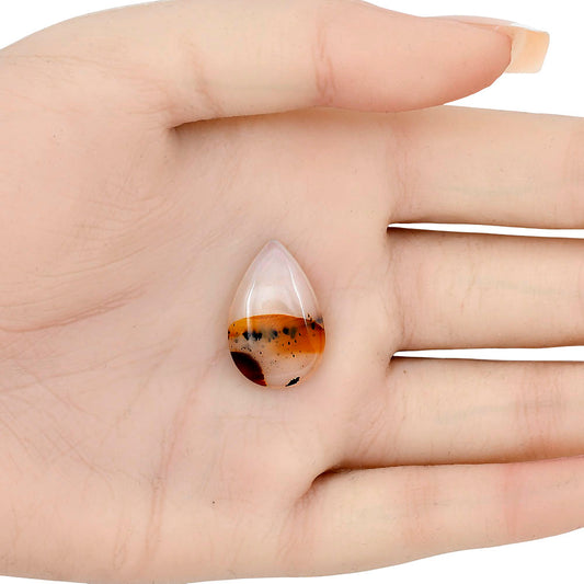 Montana Agate 22.4x14.8x5 mm Pear Gemstone LS02638-40