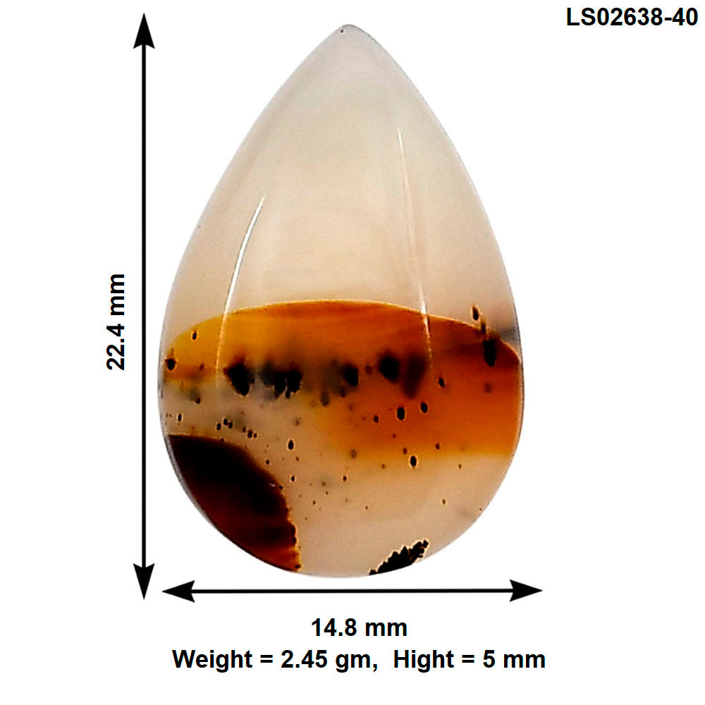 Montana Agate 22.4x14.8x5 mm Pear Gemstone LS02638-40