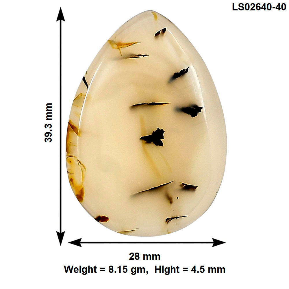 Montana Agate 39.3x28x4.5 mm Pear Gemstone LS02640-40