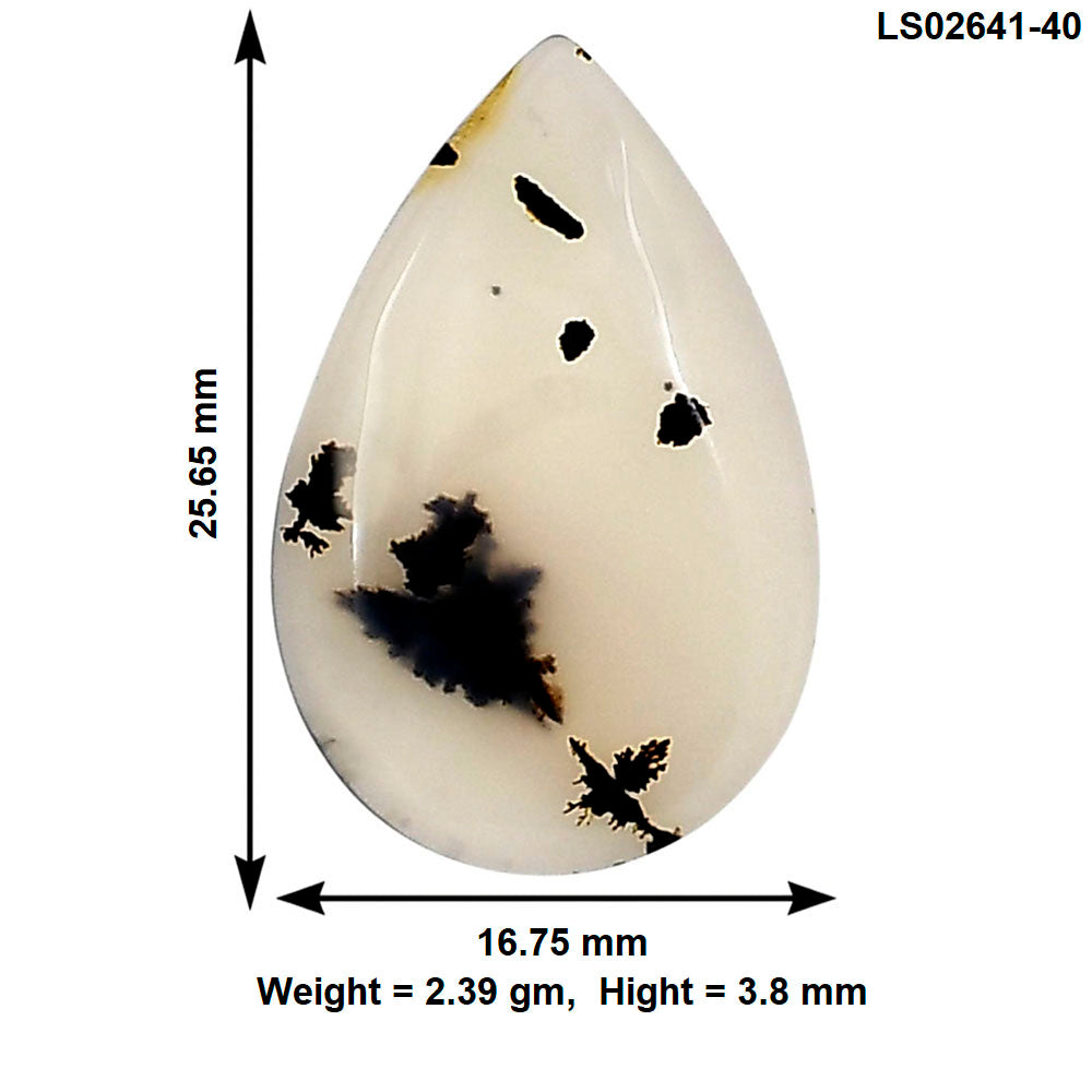 Montana Agate 25.65x16.75x3.8 mm Oval Gemstone LS02641-40