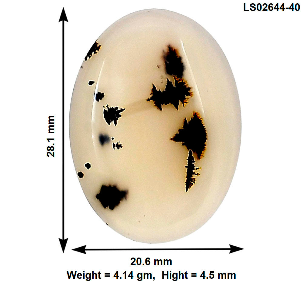 Montana Agate 28.1x20.6x4.5 mm Oval Gemstone LS02644-40