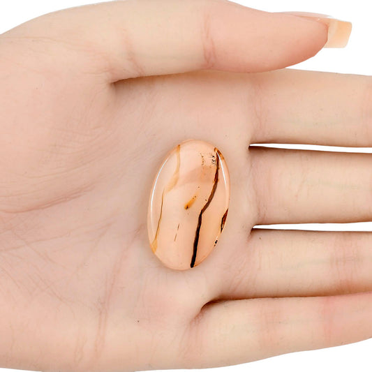 Montana Agate 31.25x19.1x3.3 mm Oval Gemstone LS02645-40