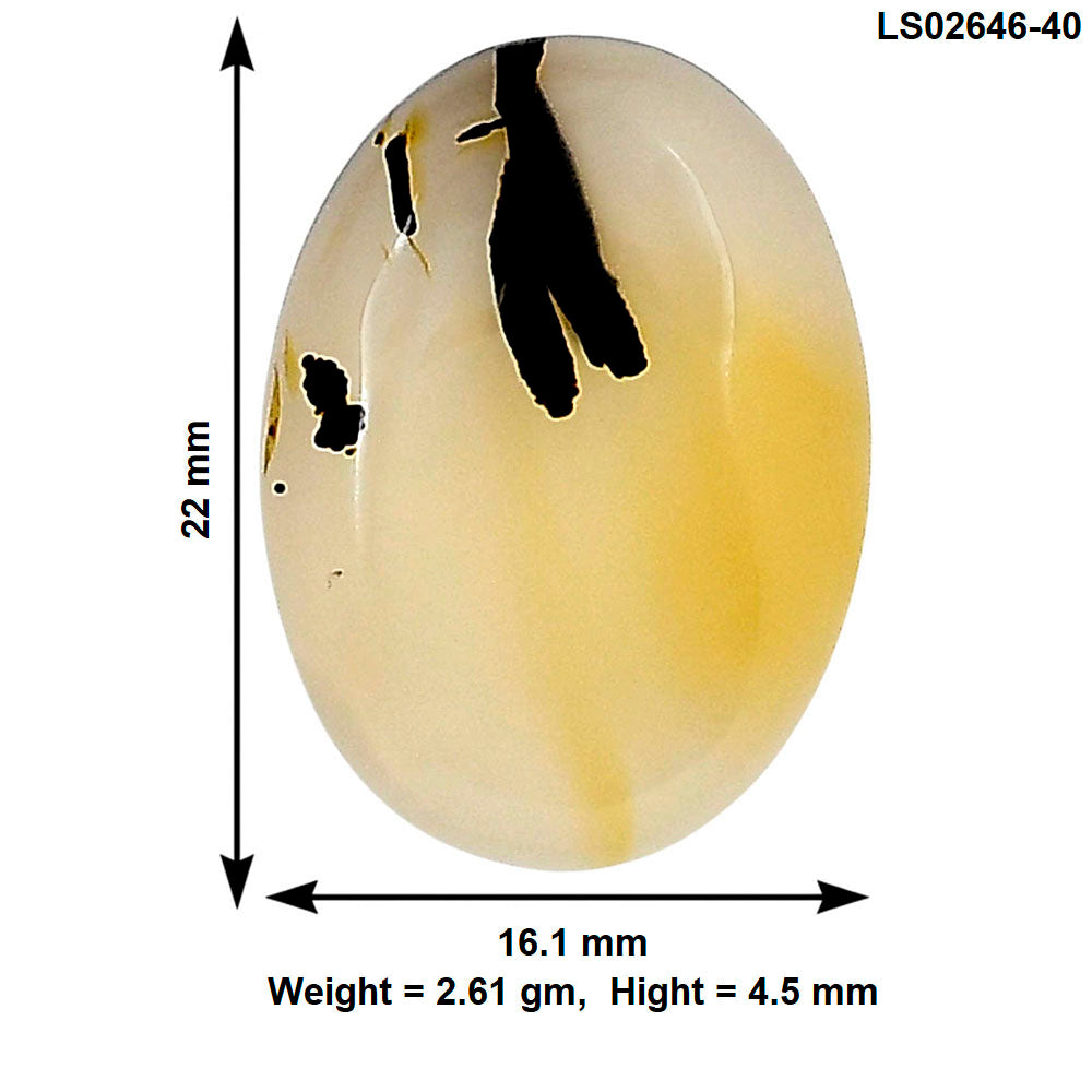 Montana Agate 22x16.1x4.5 mm Oval Gemstone LS02646-40