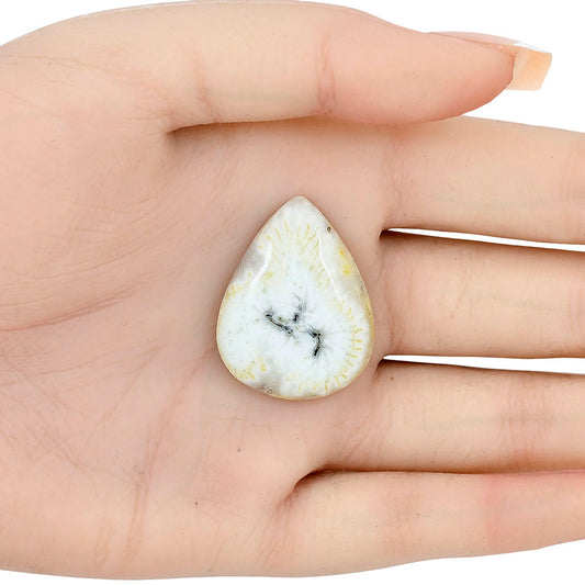 Solar Quartz Eye 31x23.9x5.5 mm Pear Gemstone LS02661-41