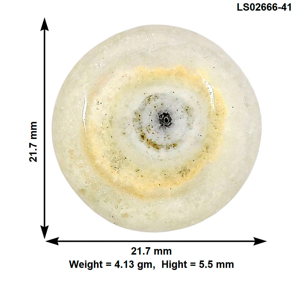 Solar Quartz Eye 21.7x21.7x5.5 mm Round Gemstone LS02666-41