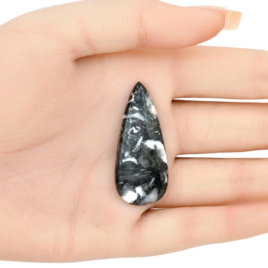 Orthoceras 42.25x18.45x5.4 mm Pear Gemstone LS02789-44
