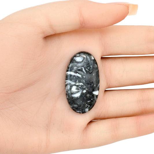 Orthoceras 37x20.65x5 mm Oval Gemstone LS02791-44
