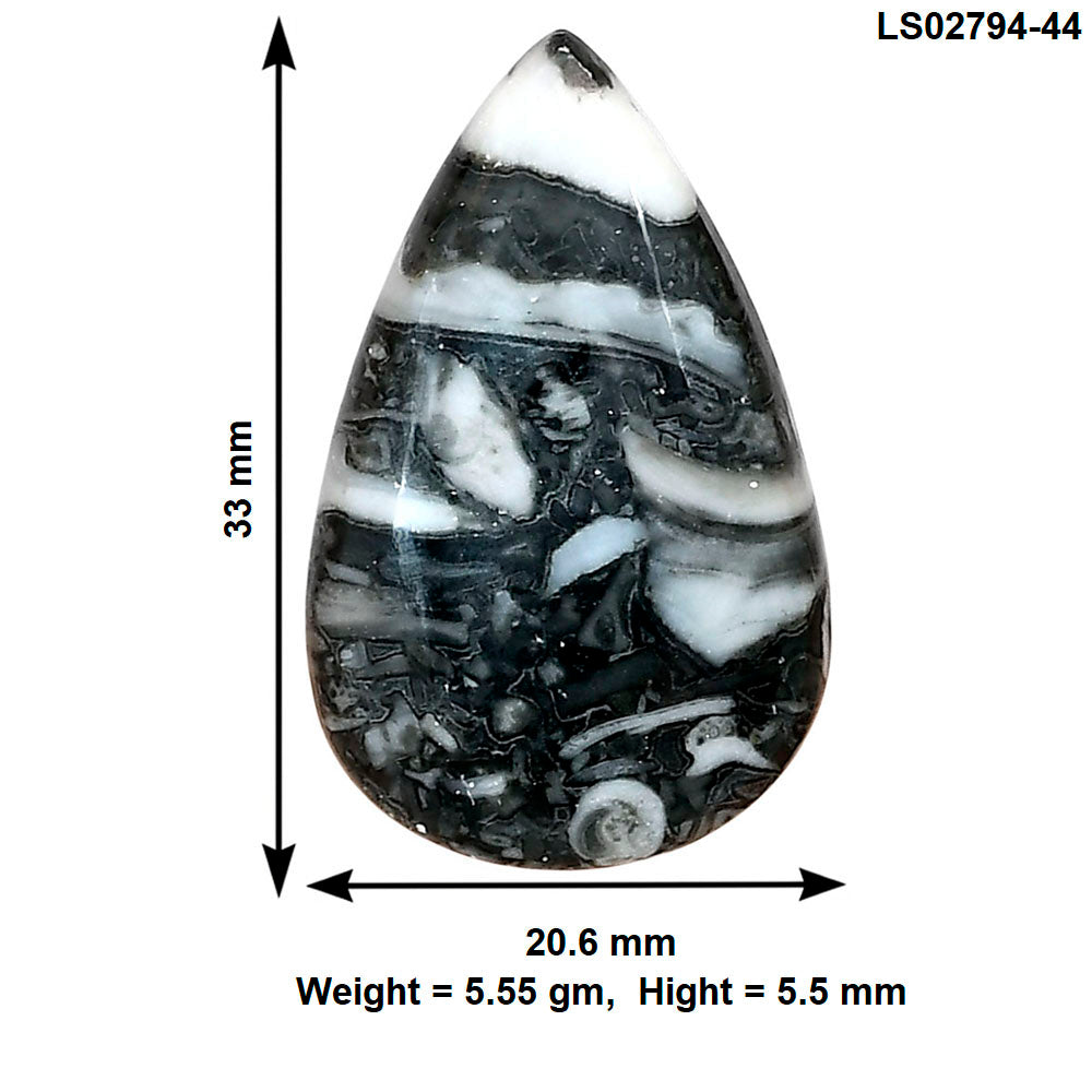 Orthoceras 33x20.6x5.5 mm Pear Gemstone LS02794-44