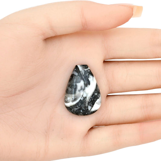 Orthoceras 29.6x21.25x5.5 mm Fancy Gemstone LS02795-44