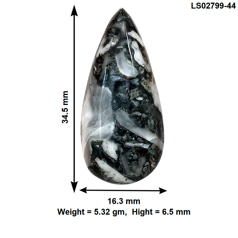 Orthoceras 34.5x16.3x6.5 mm Pear Gemstone LS02799-44