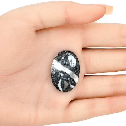 Orthoceras 30.35x21x6 mm Oval Gemstone LS02800-44