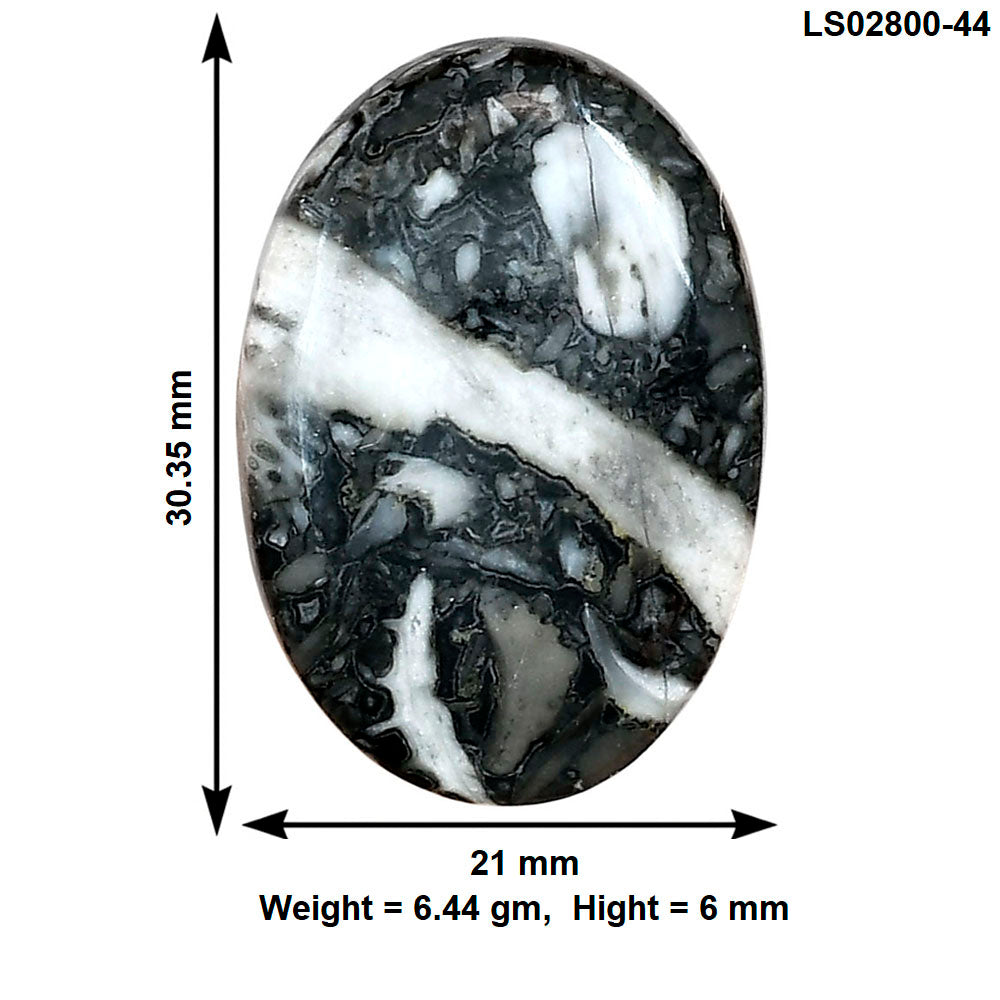 Orthoceras 30.35x21x6 mm Oval Gemstone LS02800-44